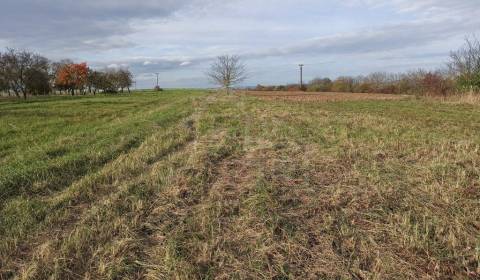 Kaufen landwirtsch. Grundstücke, landwirtsch. Grundstücke, Vranov nad 