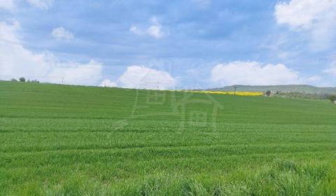 Kaufen landwirtsch. Grundstücke, landwirtsch. Grundstücke, Veľký Krtíš