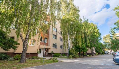 Kaufen 3-Zimmer-Wohnung, Dunajská Streda, Slowakei