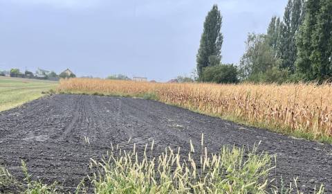 Kaufen Baugrund, Baugrund, Dunajská Streda, Slowakei