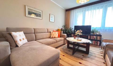 Kaufen 4-Zimmer-Wohnung, 4-Zimmer-Wohnung, Wolkerova, Spišská Nová Ves