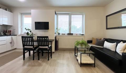 Kaufen 1-Zimmer-Wohnung, 1-Zimmer-Wohnung, Lužná, Bratislava - Petržal