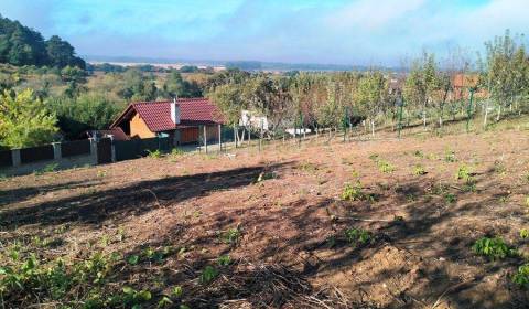 Kaufen Garten, Garten, Nové Mesto nad Váhom, Slowakei