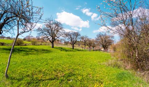 Kaufen Baugrund, Baugrund, Kvašov, Púchov, Slowakei