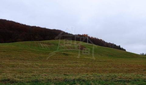 Kaufen landwirtsch. Grundstücke, landwirtsch. Grundstücke, Humenné, Sl