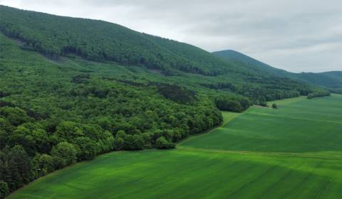 Kaufen landwirtsch. Grundstücke, landwirtsch. Grundstücke, Trnava, Slo