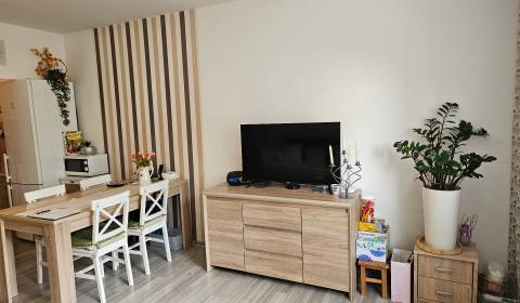 Kaufen 2-Zimmer-Wohnung, 2-Zimmer-Wohnung, Narcisová, Šaľa, Slowakei