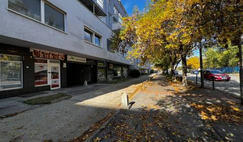 Mieten 1-Zimmer-Wohnung, 1-Zimmer-Wohnung, Tomášikova, Bratislava - Ru