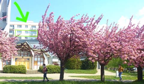 Kaufen 2-Zimmer-Wohnung, 2-Zimmer-Wohnung, Cyprichova, Bratislava - Ra