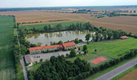 Kaufen Hotels und Pensionen, Hotels und Pensionen, neuvedená, Komárno,