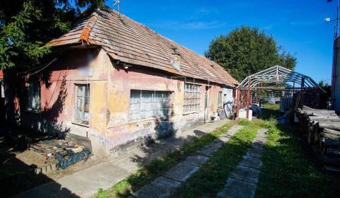 Kaufen Einfamilienhaus, Komárno, Slowakei