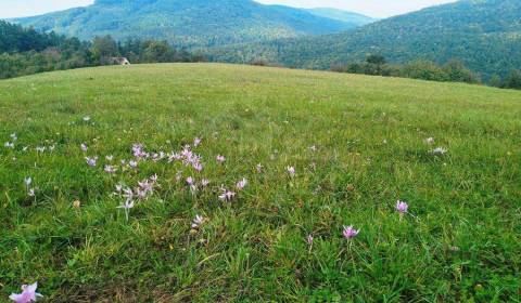 Kaufen Garten, Garten, Trenčín, Slowakei