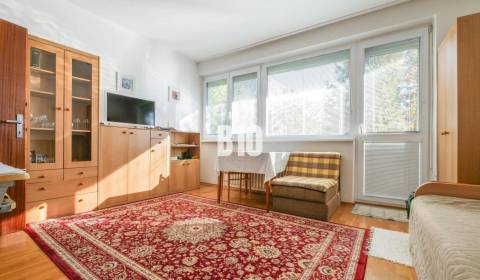 Kaufen 1-Zimmer-Wohnung, 1-Zimmer-Wohnung, Priekopnícka, Bratislava - 