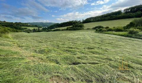 Kaufen landwirtsch. Grundstücke, landwirtsch. Grundstücke, Prešov, Slo