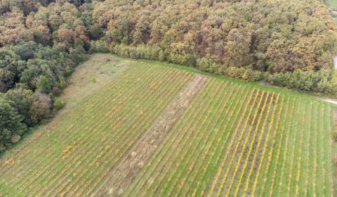 Kaufen landwirtsch. Grundstücke, landwirtsch. Grundstücke, Novosadská,