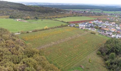 Kaufen landwirtsch. Grundstücke, landwirtsch. Grundstücke, Novosadská,