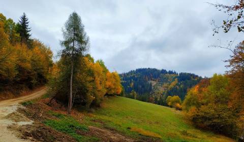 Kaufen Baugrundstück Erholung, Baugrundstück Erholung, Veľké Rovné, By