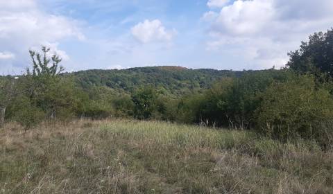 Kaufen Baugrundstück Erholung, Baugrundstück Erholung, Horné Jabloňovc