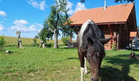 Kaufen Ferienhaus, Ferienhaus, Krupina, Slowakei