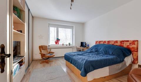 Geräumige 1-Zimmer-Wohnung zur Miete in Bratislava – Nové Mesto