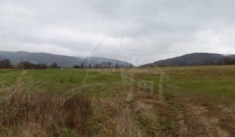 Kaufen landwirtsch. Grundstücke, landwirtsch. Grundstücke, Humenné, Sl