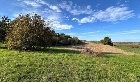 Kaufen landwirtsch. Grundstücke, landwirtsch. Grundstücke, Nové Zámky,