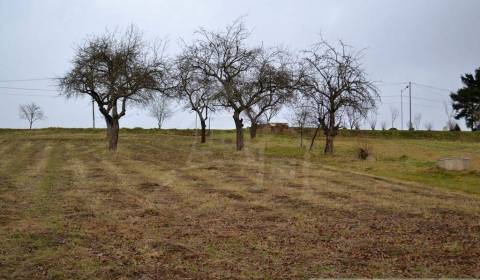 Kaufen Garten, Garten, Bardejov, Slowakei