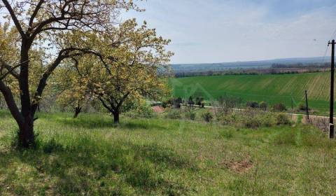 Kaufen Garten, Garten, Nové Zámky, Slowakei