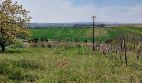 Kaufen Garten, Garten, Nové Zámky, Slowakei