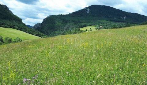 Kaufen Garten, Garten, Považská Bystrica, Slowakei