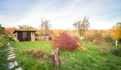 KOŠICE/NORD CITY – Ein wunderschöner Garten in Kontakt mit der Stadt