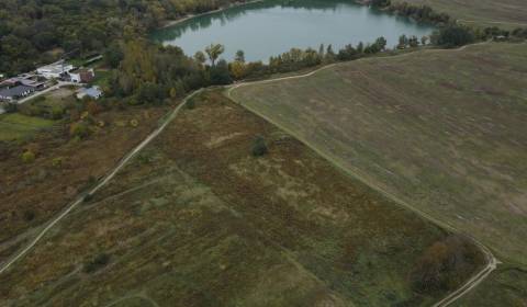 Kaufen landwirtsch. Grundstücke, landwirtsch. Grundstücke, Hviezdoslav