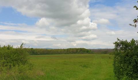 Kaufen landwirtsch. Grundstücke, landwirtsch. Grundstücke, Pezinok, Sl