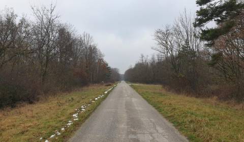 Kaufen landwirtsch. Grundstücke, landwirtsch. Grundstücke, Pezinok, Sl