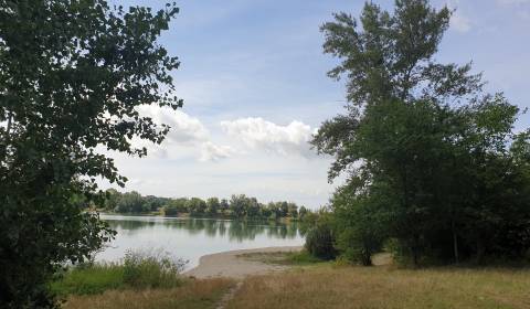 Kaufen landwirtsch. Grundstücke, landwirtsch. Grundstücke, Hviezdoslav