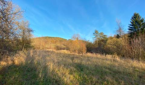 Kaufen Baugrund, Baugrund, Dohňany, Púchov, Slowakei