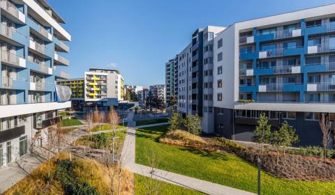 Mieten 1-Zimmer-Wohnung, 1-Zimmer-Wohnung, Hraničná, Bratislava - Ruži