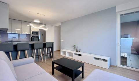 Mieten 3-Zimmer-Wohnung, 3-Zimmer-Wohnung, Bosákova, Bratislava - Petr