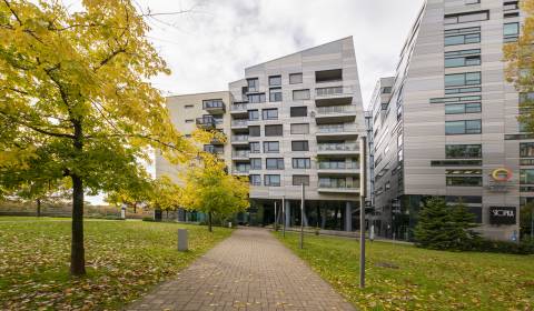 Mieten Garage, Garage, Dvořákovo nábrežie, Bratislava - Staré Mesto, S