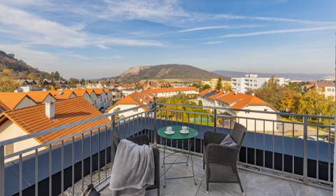 3-Zimmer-Wohnung mit Terrasse, Blick auf die Burg, Hainburg, 85m2