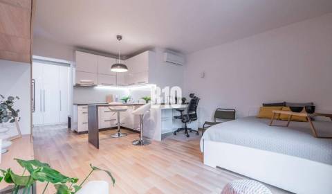 Kaufen 1-Zimmer-Wohnung, 1-Zimmer-Wohnung, Palackého, Bratislava - Sta