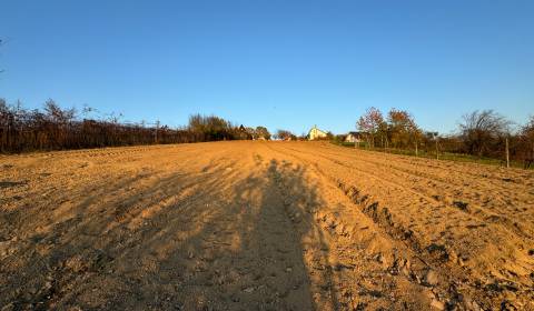 Kaufen Baugrund, Baugrund, Levice, Slowakei