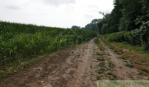 Kaufen landwirtsch. Grundstücke, landwirtsch. Grundstücke, Pezinok, Sl