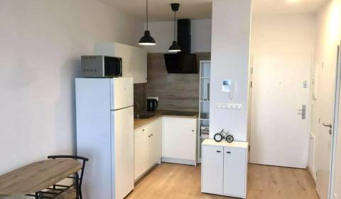 Mieten 1-Zimmer-Wohnung, 1-Zimmer-Wohnung, Galvaniho, Bratislava - Ruž