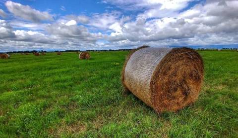 Kaufen landwirtsch. Grundstücke, landwirtsch. Grundstücke, Sobrance, S