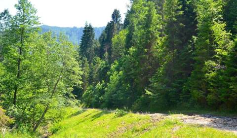 Kaufen landwirtsch. Grundstücke, landwirtsch. Grundstücke, Gelnica, Sl