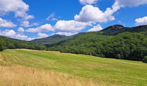 Kaufen landwirtsch. Grundstücke, landwirtsch. Grundstücke, Bardejov, S