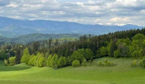 Kaufen landwirtsch. Grundstücke, landwirtsch. Grundstücke, Banská Byst