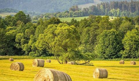 Kaufen landwirtsch. Grundstücke, landwirtsch. Grundstücke, Revúca, Slo