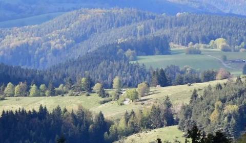 Kaufen landwirtsch. Grundstücke, landwirtsch. Grundstücke, Senica, Slo